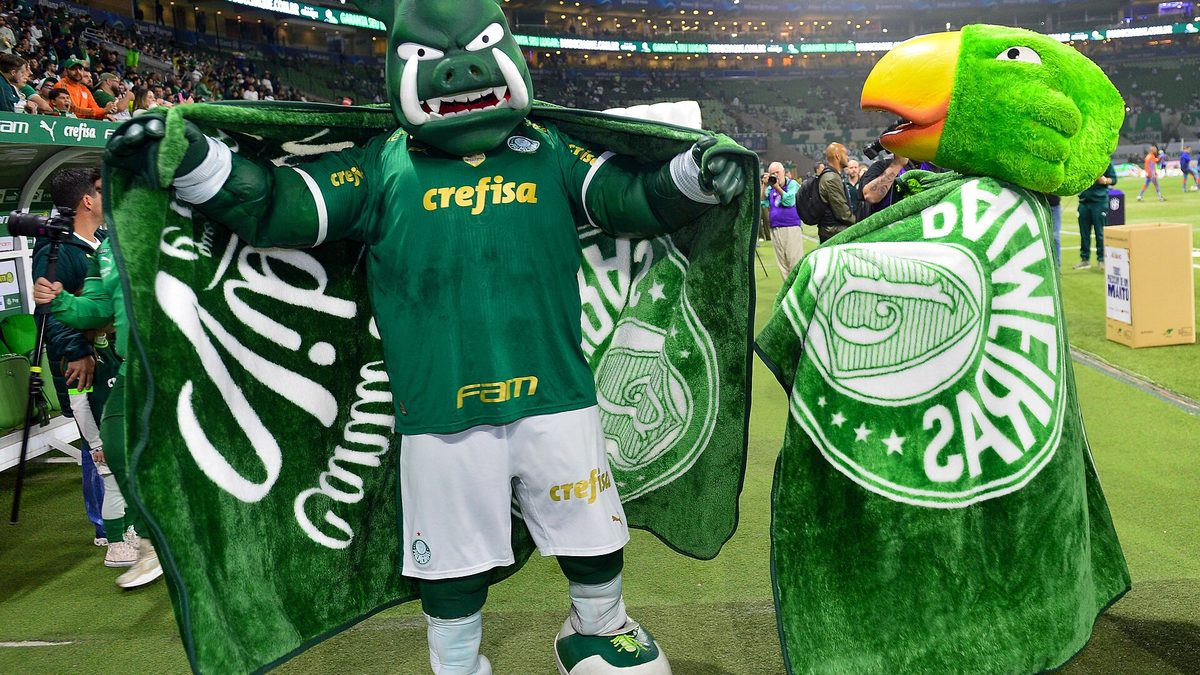 "Todos Precisam de um Manto" do Fundo Social de SP durante o jogo Palmeiras x Cruzeiro Local: Estádio Allianz Parque - SP Data: 20/07/2024 Foto: Franc